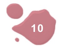 N°10 - Rose métal