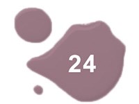 N°24 - Violine nacré