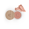 Ombretto mat n.123 ROSE POUPÉE Couleur Caramel