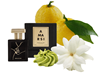 AMARSI | Grietas De Oro – Extrait de Parfum 50ml