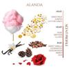 TEABALATER  | ALANDA – Extrait de parfum 35 ml