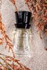 TEABALATER  | ALANDA – Extrait de parfum 35 ml