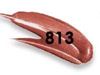 813